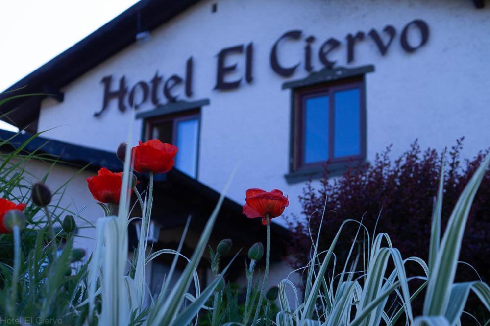 Hotel El Ciervo Villarrica Exteriör bild