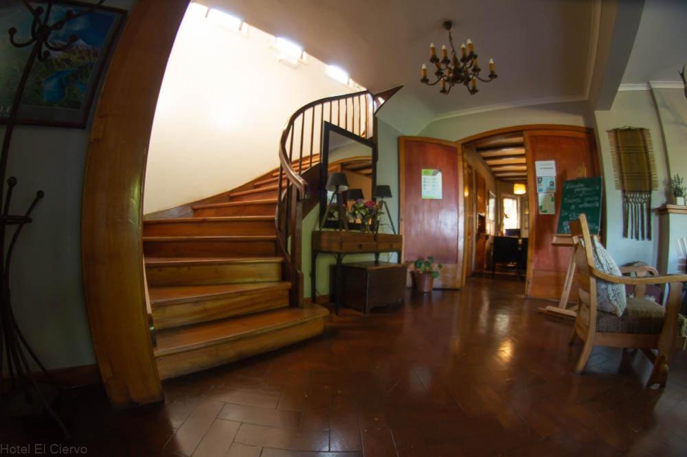 Hotel El Ciervo Villarrica Exteriör bild