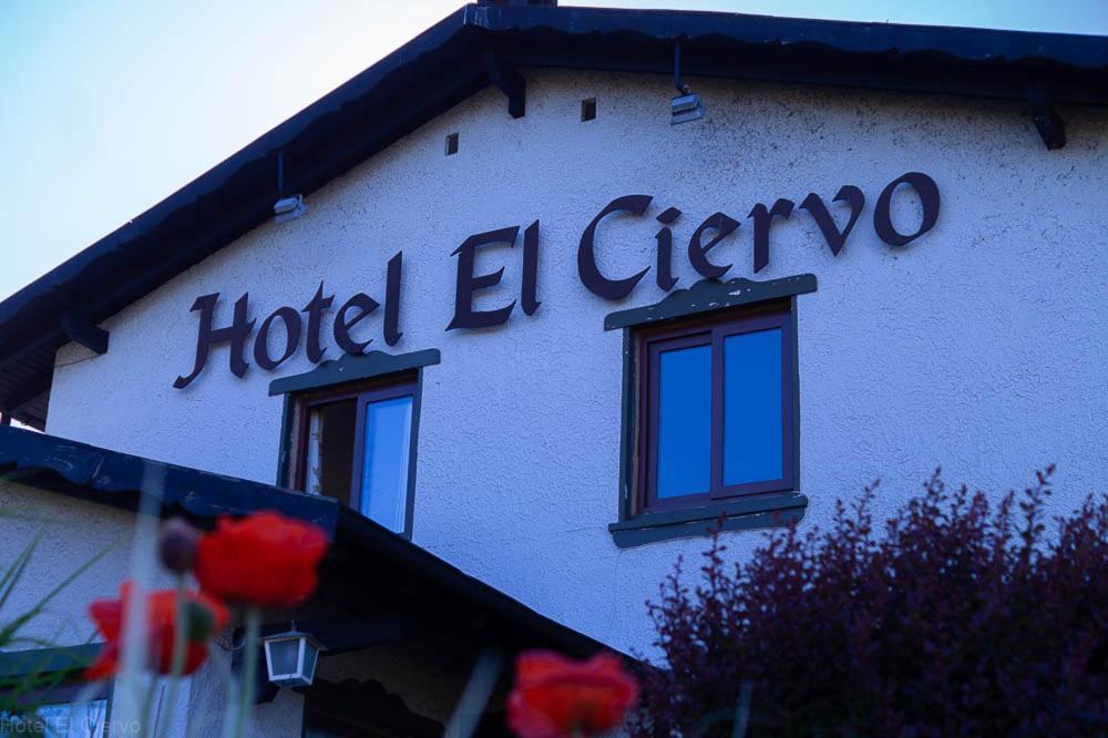 Hotel El Ciervo Villarrica Exteriör bild