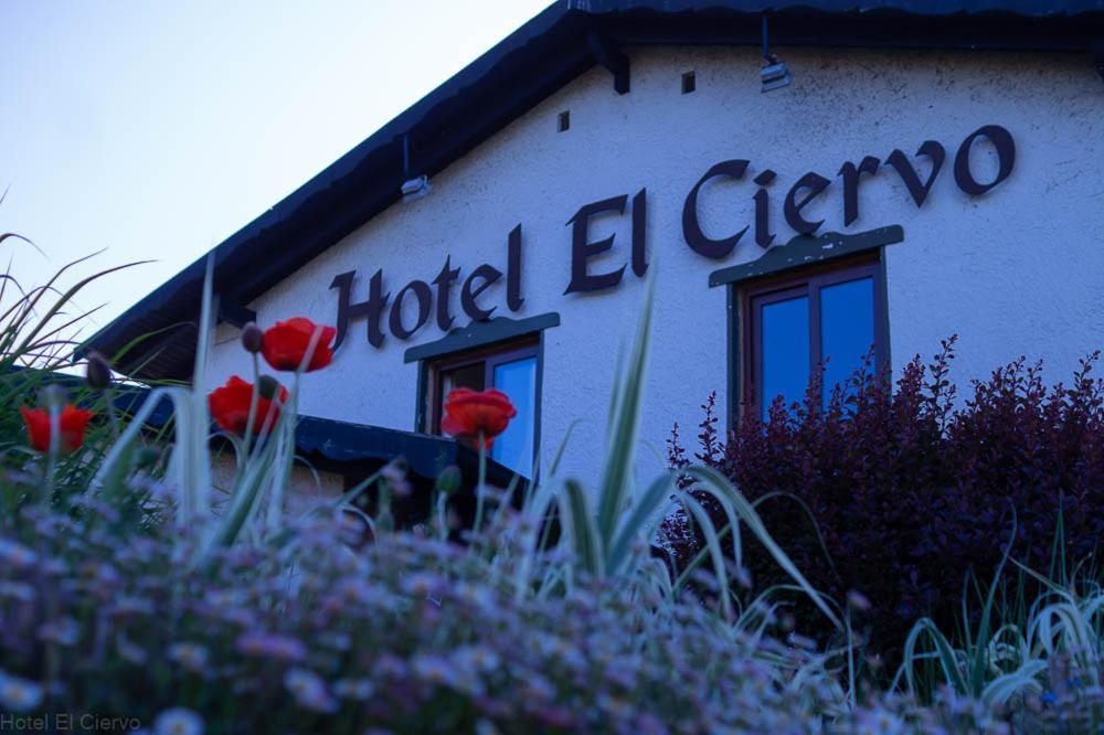 Hotel El Ciervo Villarrica Exteriör bild