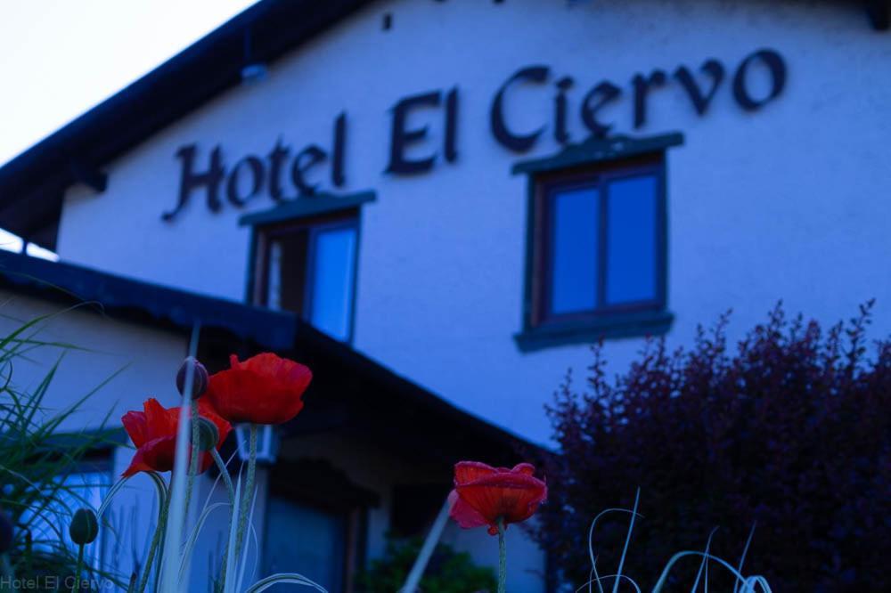 Hotel El Ciervo Villarrica Exteriör bild